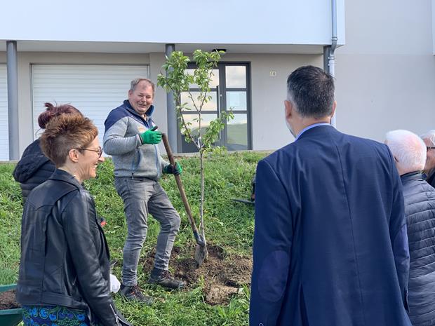 100 bougies, 100 arbres plantés !