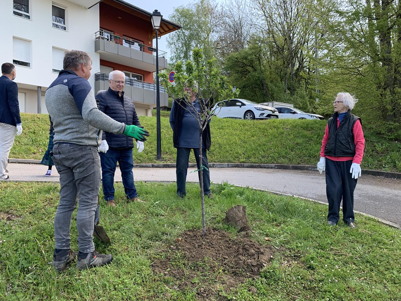 100 bougies, 100 arbres plantés !